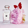 Peony & Blush Suede Cologne