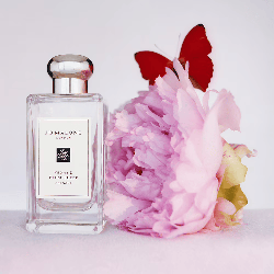 Peony & Blush Suede Cologne