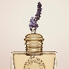 Burberry Goddess Eau de Parfum – Vanilla Lavender Perfume for Women